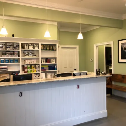 Lobby Area and reception desk at Court Street Animal Hospital
